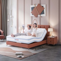 芝华仕智能床诺兰一体电动床垫ZND-S(NL)-RM